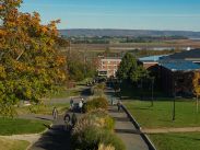 The view of campus from Wheelock Dining Hall.